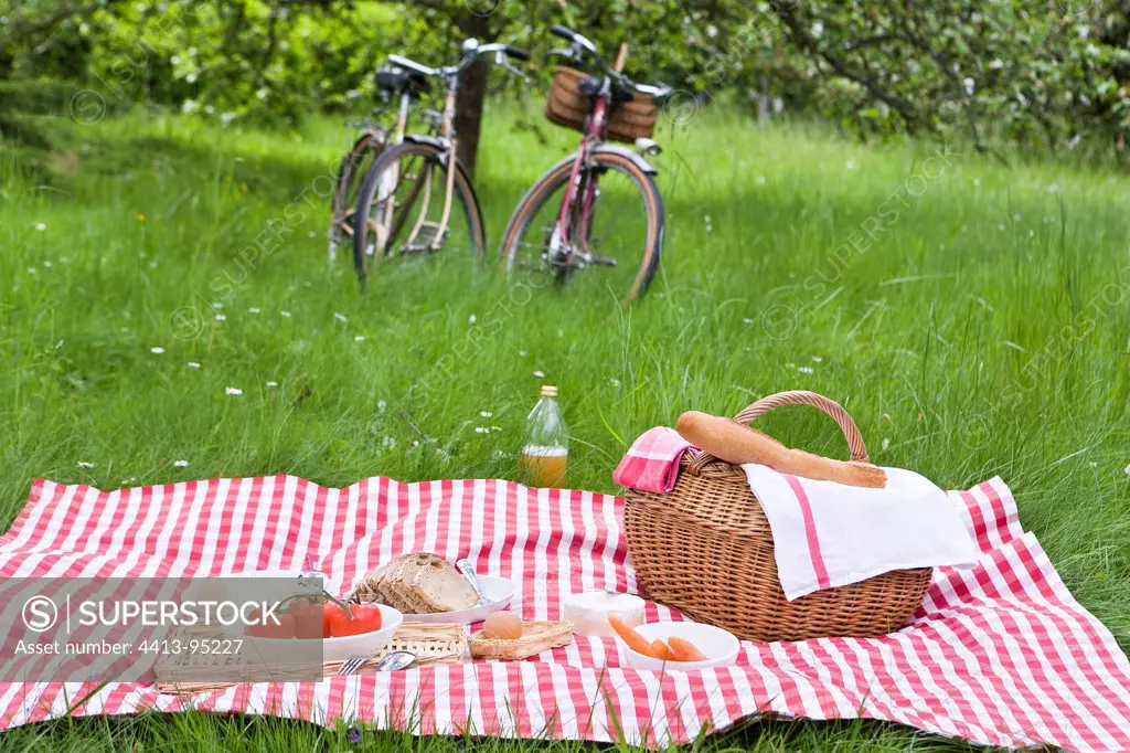 Picnic in the grass on a tablecloth pattern Vichy France