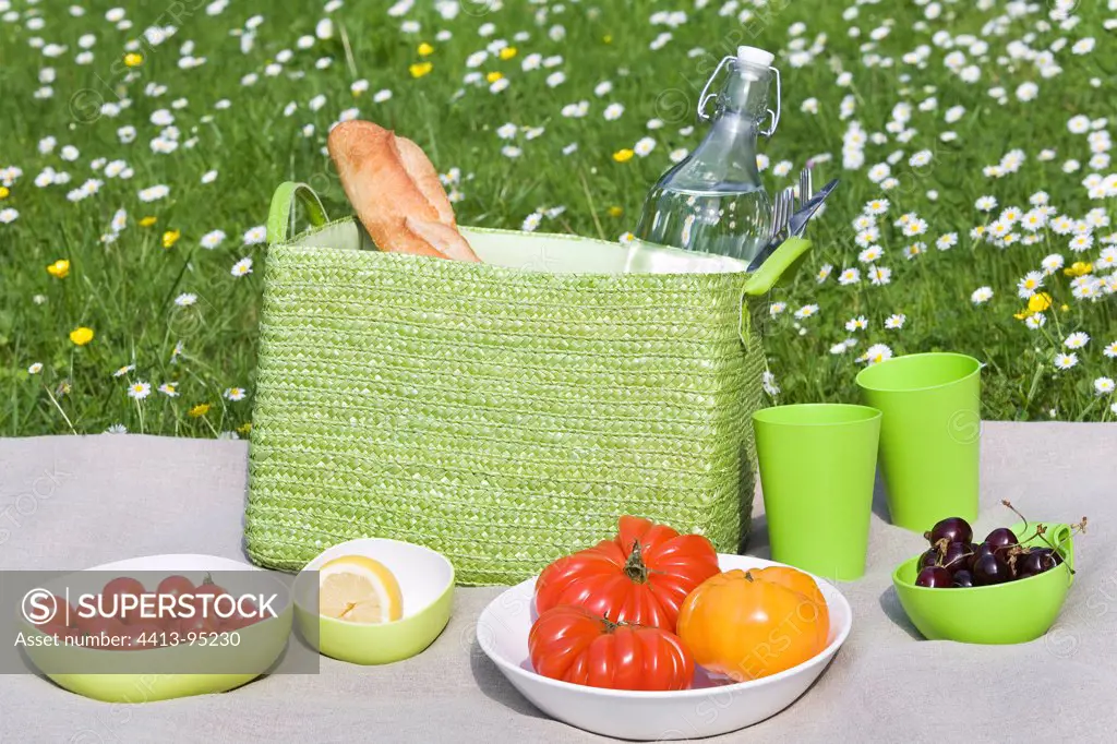 Picnic in the grass on a linen tablecloth France