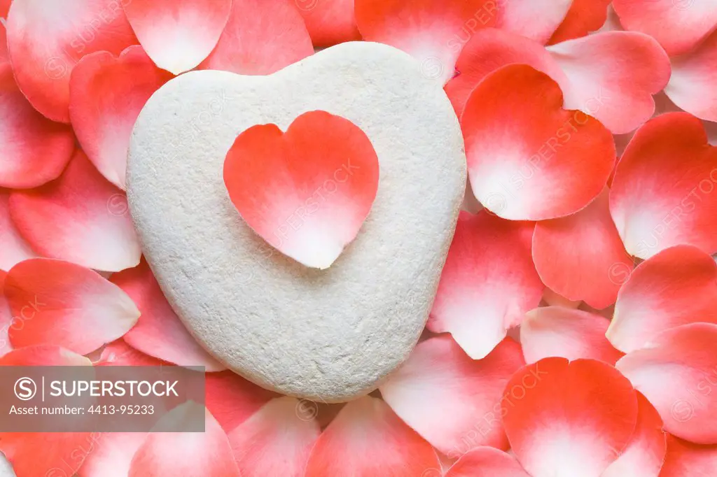 Shaped stone heart on rose petals
