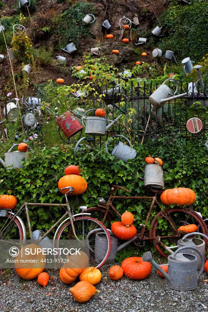 Garden watering cans with pumpkins and zinc Alsace