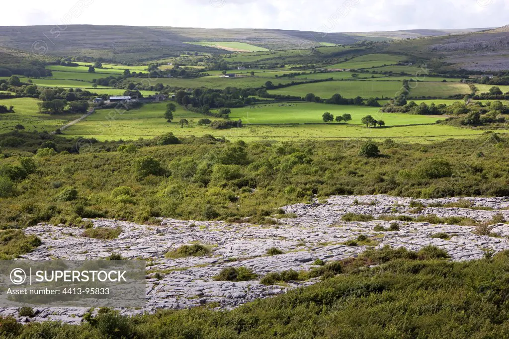 Landscape of the karstic tray of Burren in Ireland