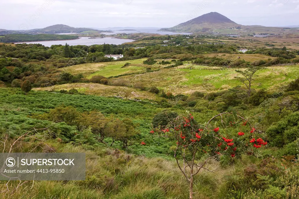 Landscape of Connemara NP Irlande