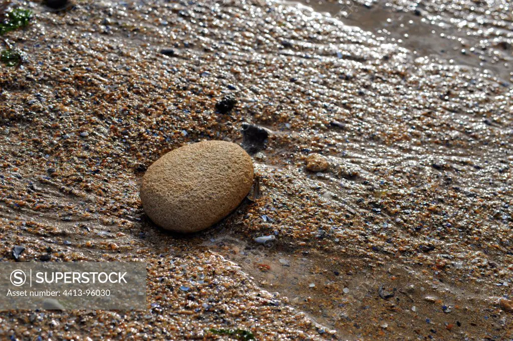 Pebble on a beach at low tide
