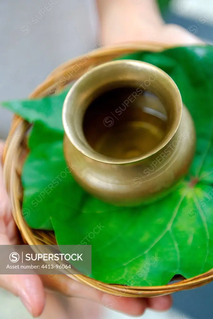 Small dish of oil perfumed for massages