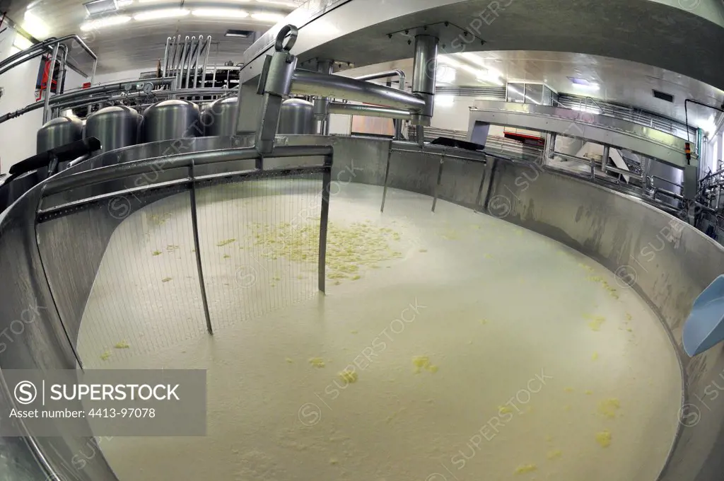 Mashing the coagulate Tank Dairy Industrial France
