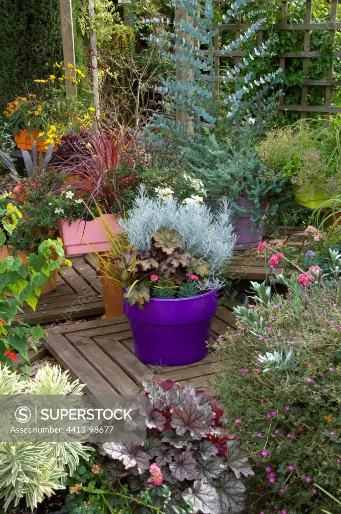 Plants in pot garden on a terrace
