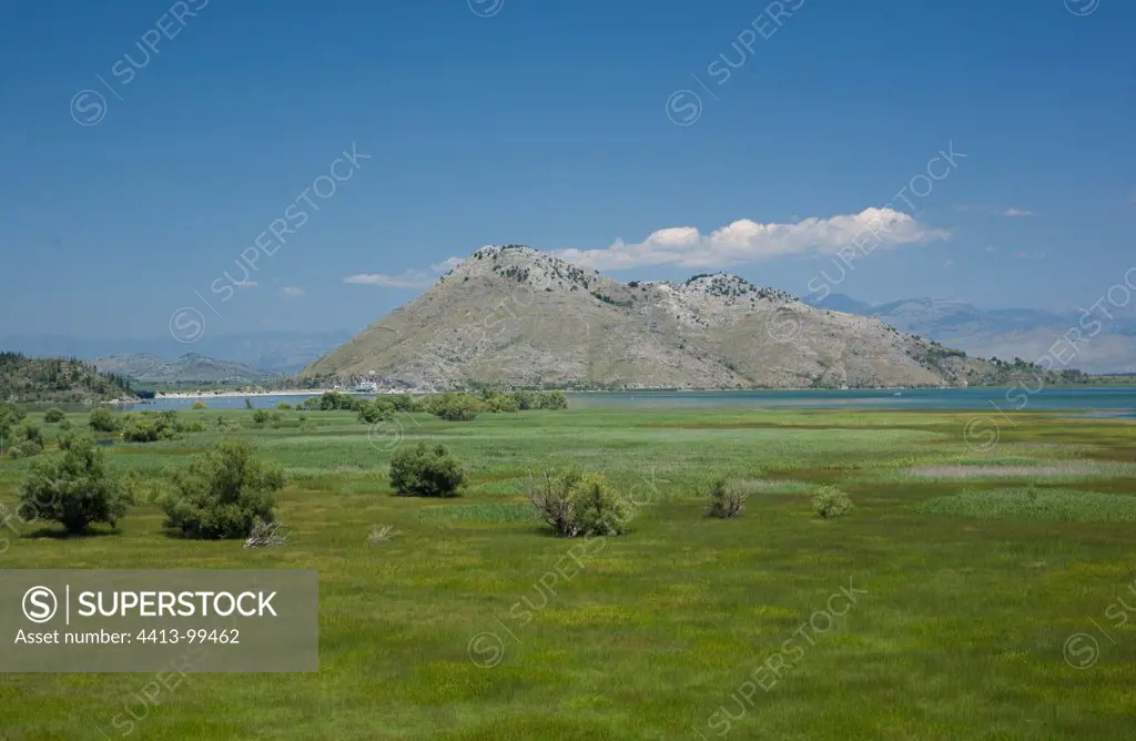 Meadow at Lake Skadar in Montenegro