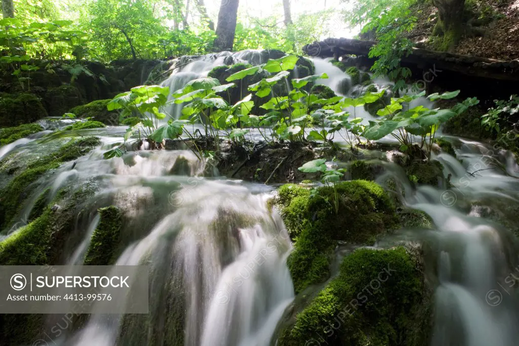 Small waterfall in the Plitvice lakesNP Croatia