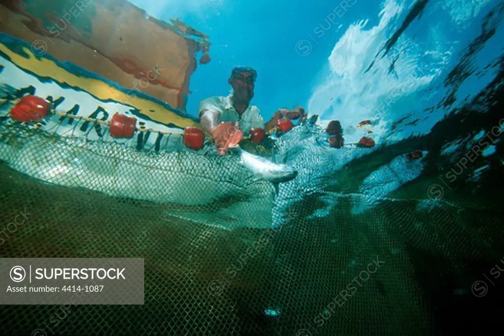 Venezuela, Local fishermen using seine nets for catching mackerel and snapper
