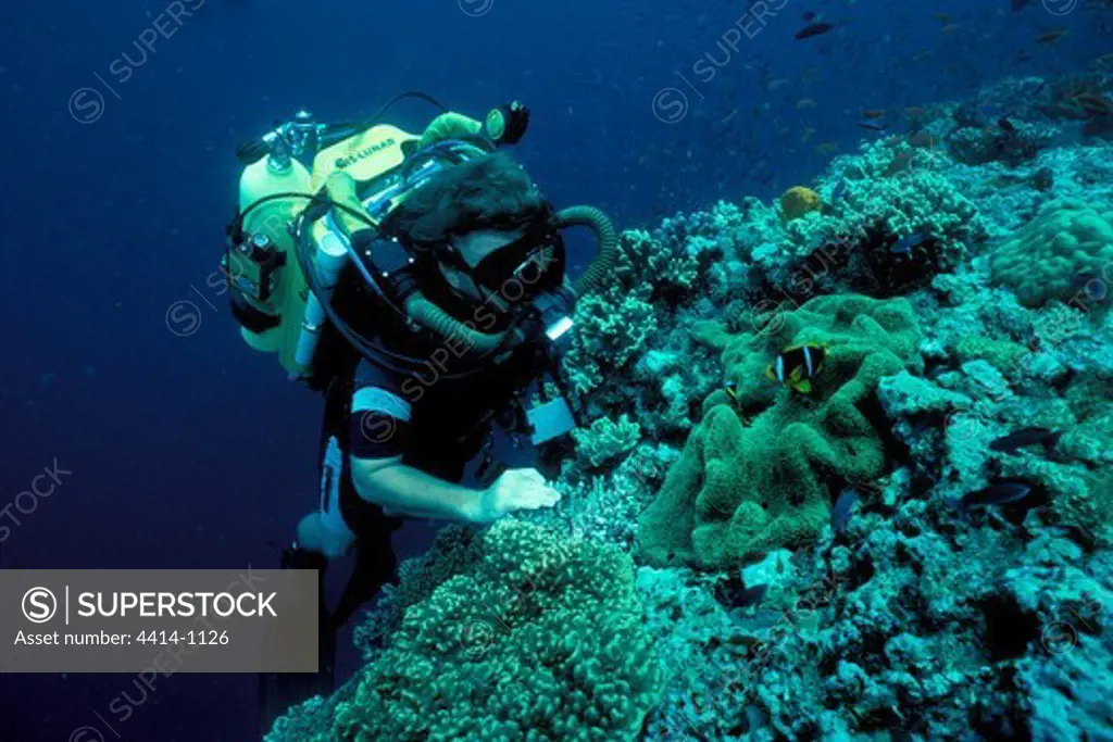 Fiji, Cameramen use latest in high-tech, mixed-gas rebreather technology to film marine wildlife in Pacific Ocean