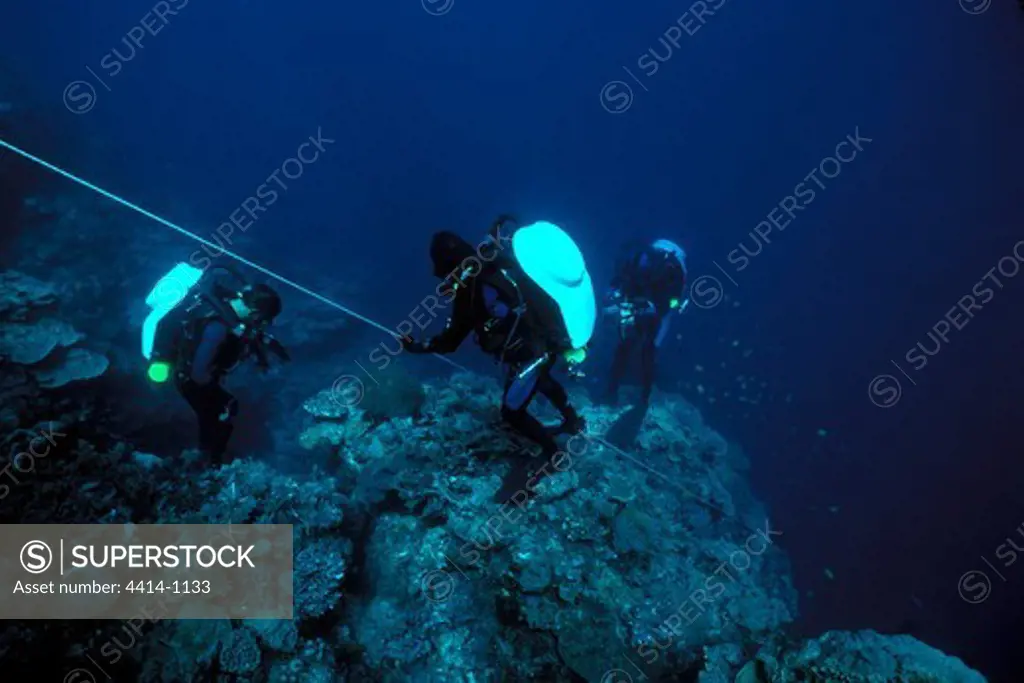 Fiji, Scuba divers in Pacific Ocean