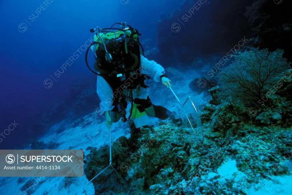 Fiji, Scuba diver collecting samples of marine wildlife in Pacific Ocean