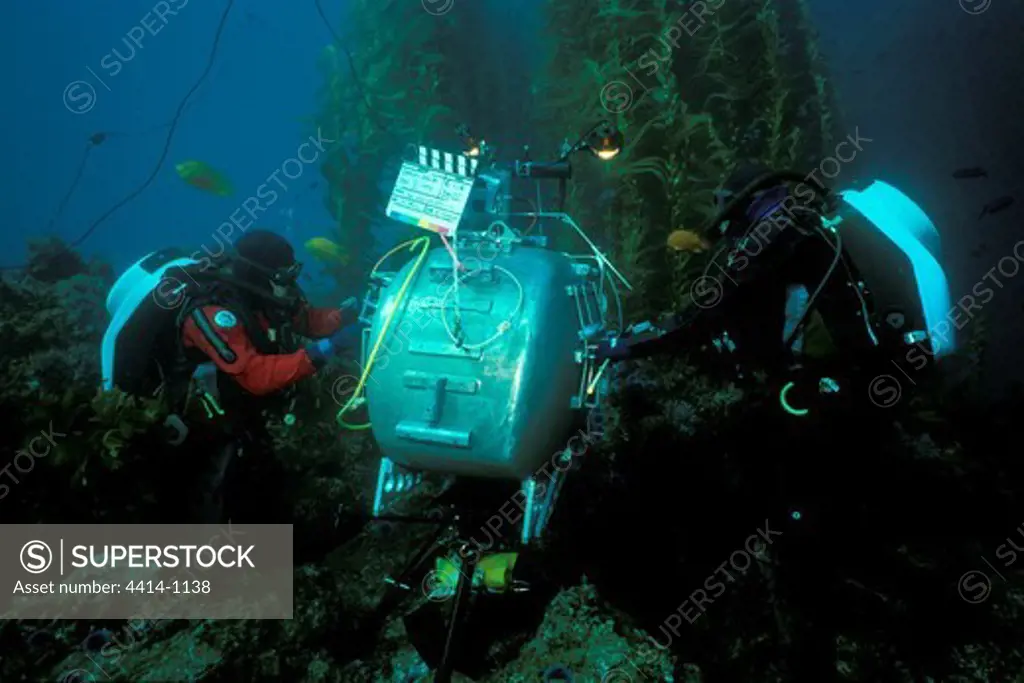 USA, California, Cameramen using mixed-gas rebreather technology to film marine wildlife in Pacific Ocean