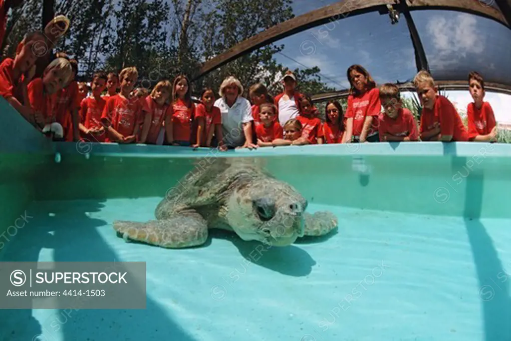 USA, Florida, Sea turtle rehabilitation facilities helping injured turtles safely return to ocean, also raising public's awareness by giving tours and organizing beach walks