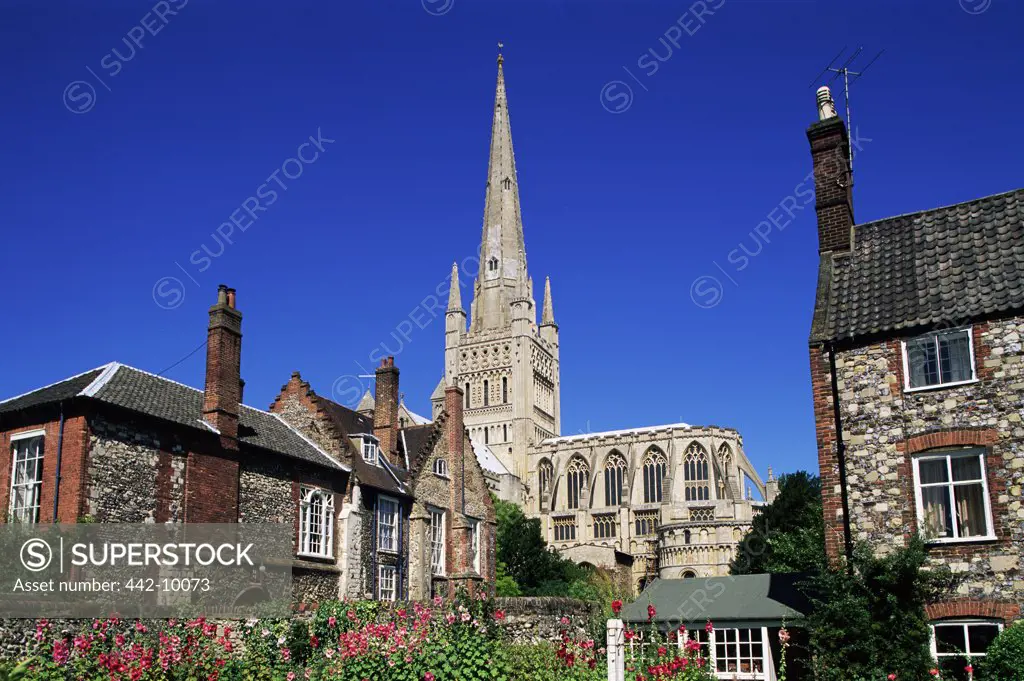 Low angle view of buildings in front of a cathedral, Norwich Cathedral, Norwich, England