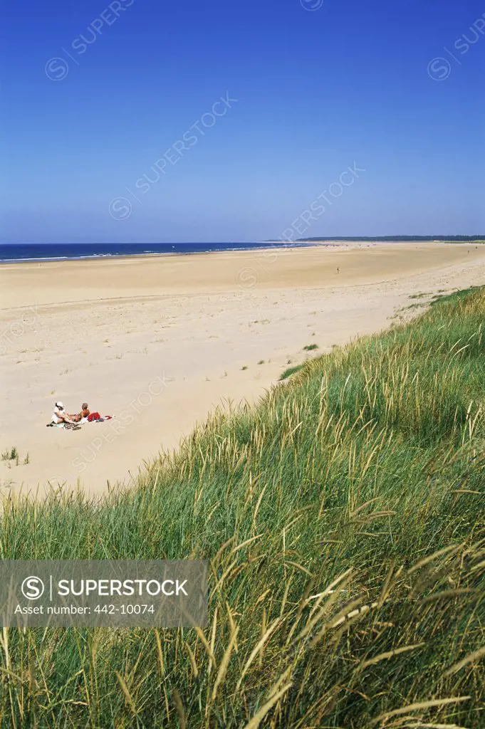 High angle view of tourists on the beach, Holkham, Norfolk, England