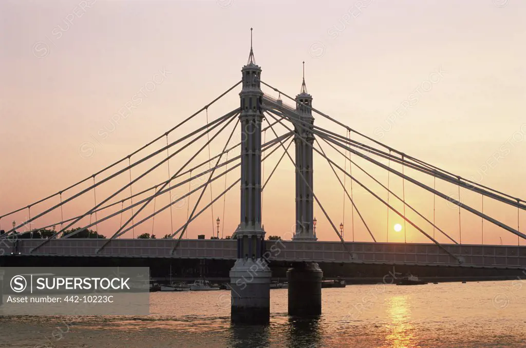 Suspension bridge across a river, Albert Bridge, Thames River, London, England