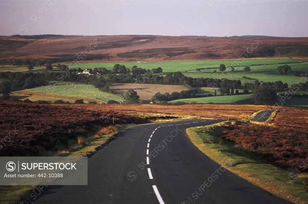 Road passing through a landscape, North Yorkshire Moors National Park, Yorkshire, England