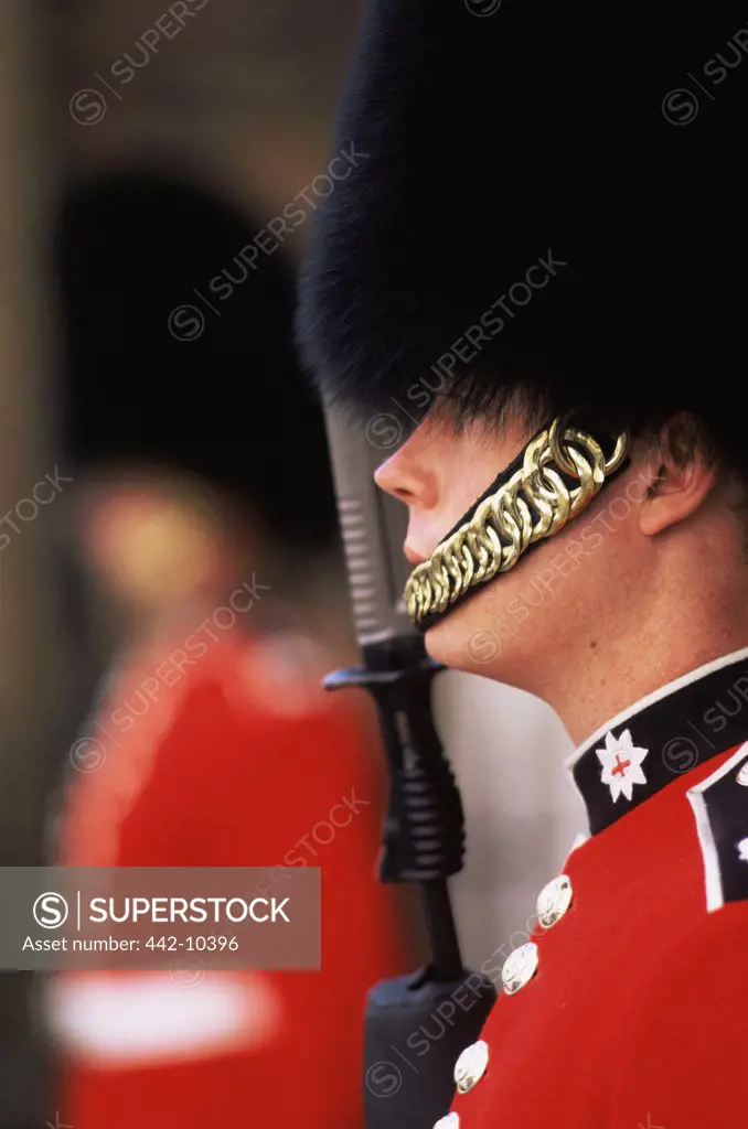 Side profile of a British royal guard, St. James's Palace, London, England