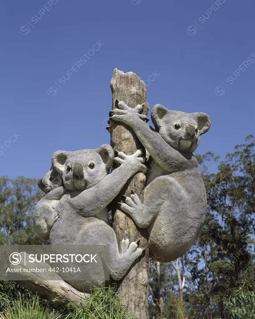 Close-up of a Koala Statue, Casino Zoo, Casino, Australia