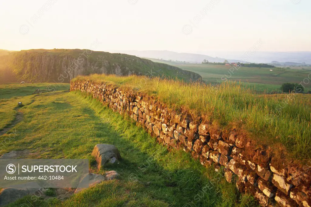 Ruins of a stone wall in a field, Hadrian's Wall, Northumbria, England