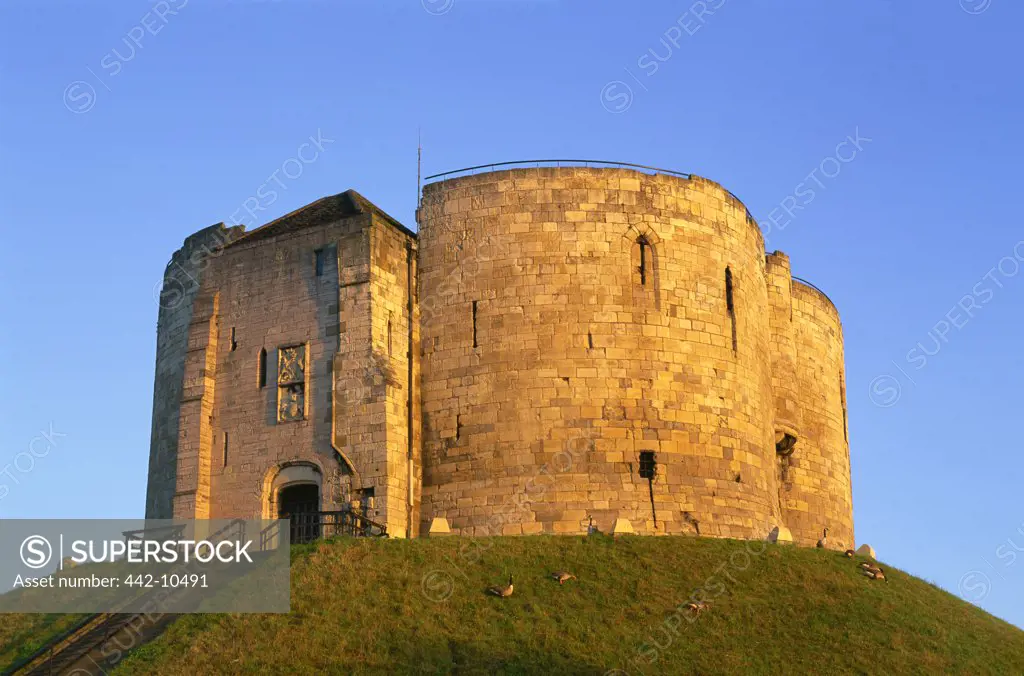 Low angle view of a castle, Clifford's Tower, York, Yorkshire, England