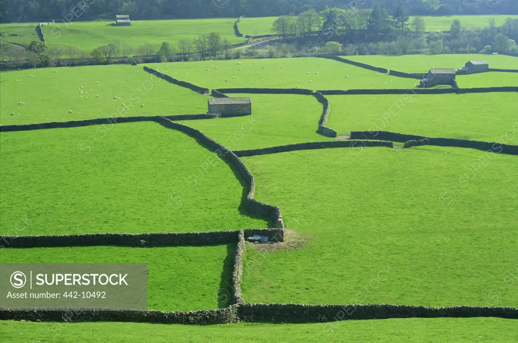 High angle view of fields, Swaledale, Yorkshire Dales, Yorkshire, England