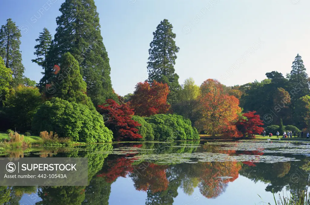 Reflection of trees in water, Sheffield Park Garden, East Sussex, England