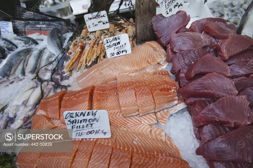England, London, Southwark, Borough Market, Seafood Stall, Fish Display