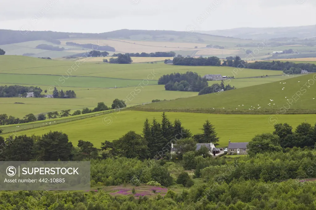 Scotland, Aberdeenshire, Countryside View