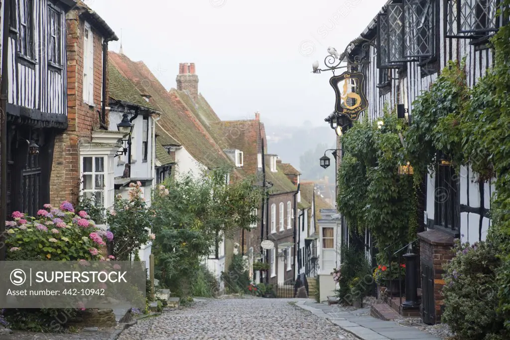 Houses along with a street, Mermaid Street, Cinque Ports, East Sussex, England
