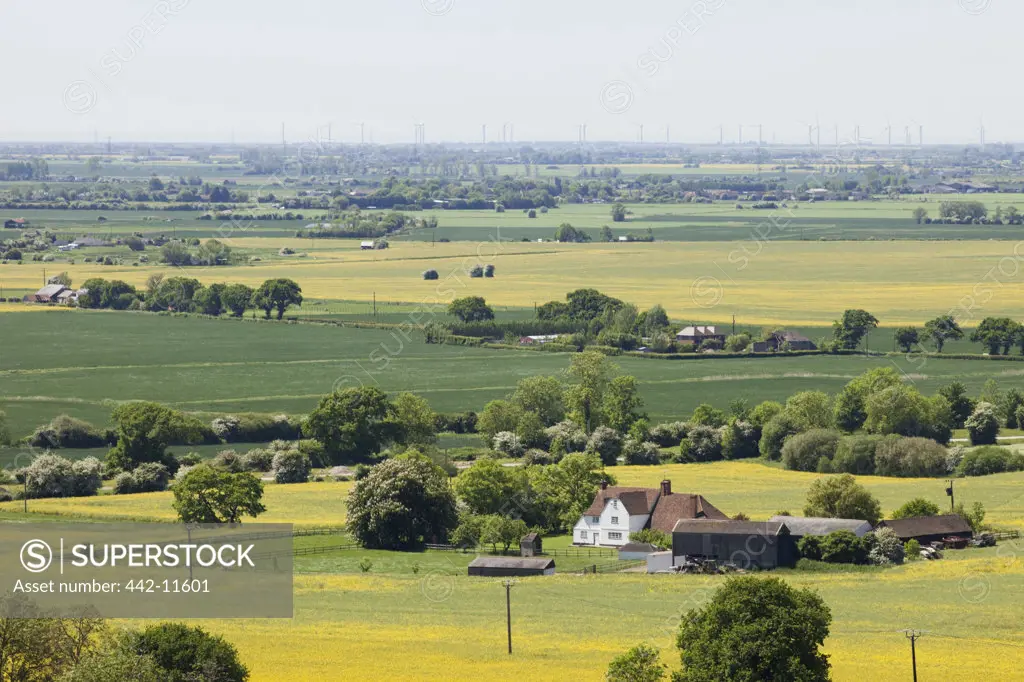 UK, England, Kent, Romney Marsh, view of farm houses and fields