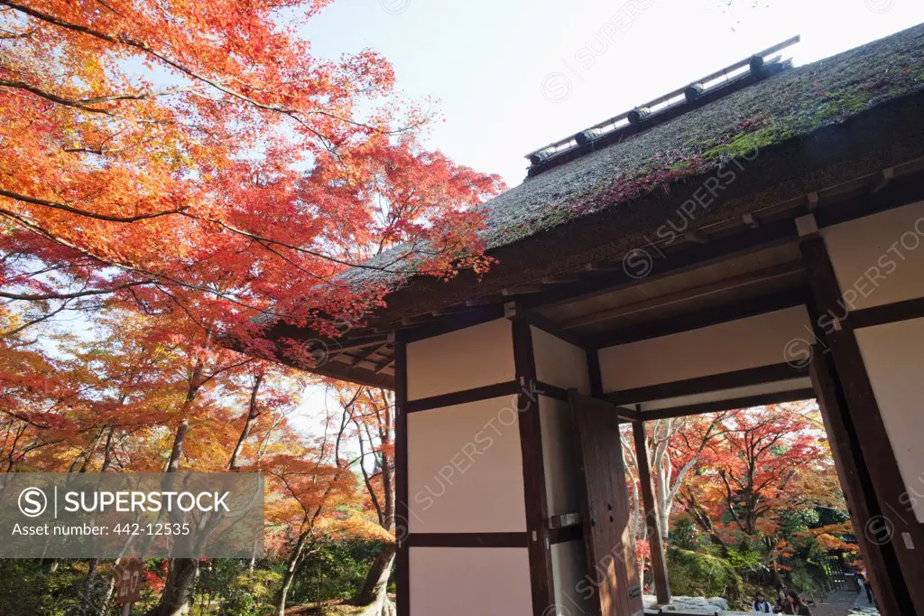 Low angle view of a temple, Jojakkoji Temple, Arashiyama, Kyoto Prefecture, Kinki Region, Honshu, Japan