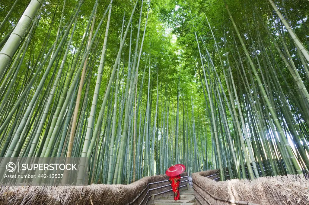Woman walking in a bamboo forest, Adashino-nenbutsu-ji Temple, Arashiyama, Kyoto Prefecture, Kinki Region, Honshu, Japan