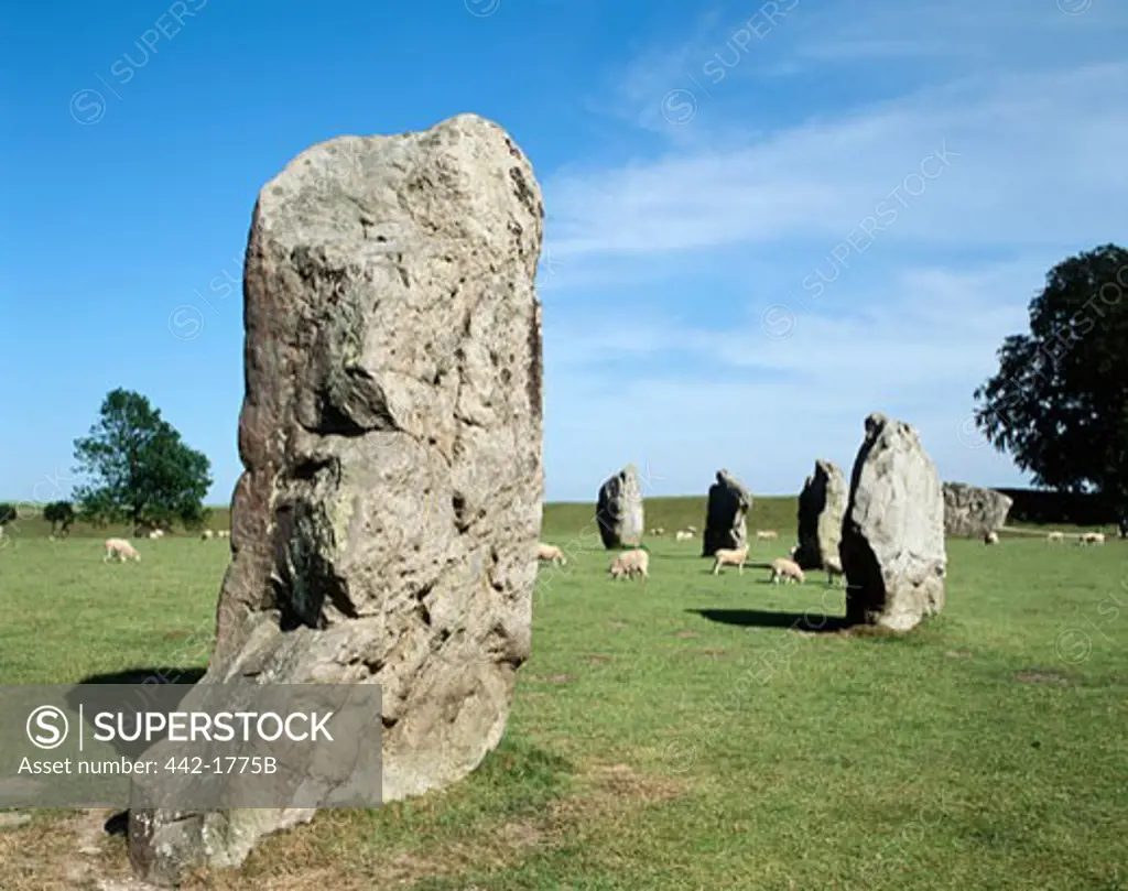 Ancient stone structures on a landscape, Avebury Stone Circle, Avebury, Wiltshire, England