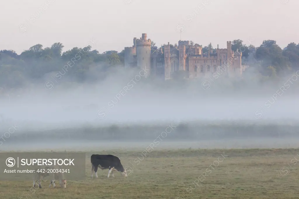 England,West Sussex,Arundel,Arundel Castle