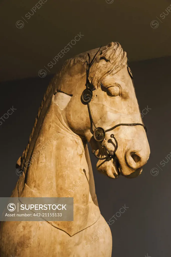 England, London, British Museum, Mausoleum of Halikarnassos, Marble Head of a Horse dated 350 BC 