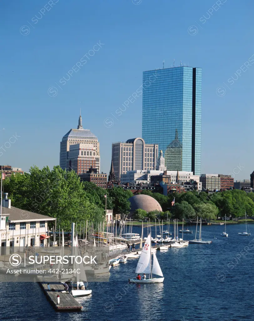 Boats moored in a harbor, Boston, Massachusetts, USA