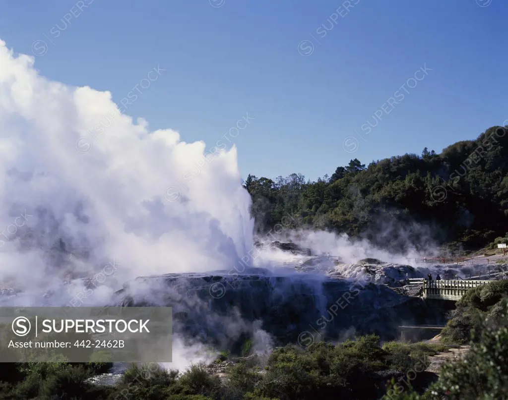 Natural geyser in a landscape, Pohutu Geyser, Whakarewarewa Thermal Park, North Island, New Zealand