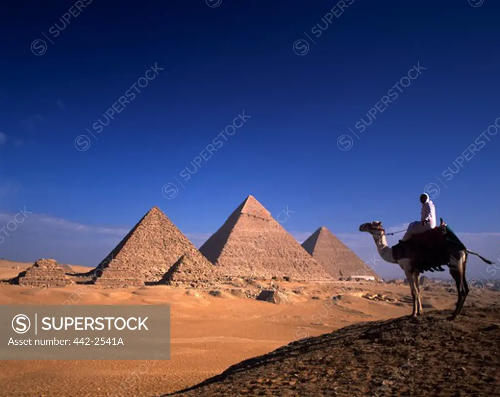 Person riding a camel near pyramids, Giza Pyramids, Giza, Egypt