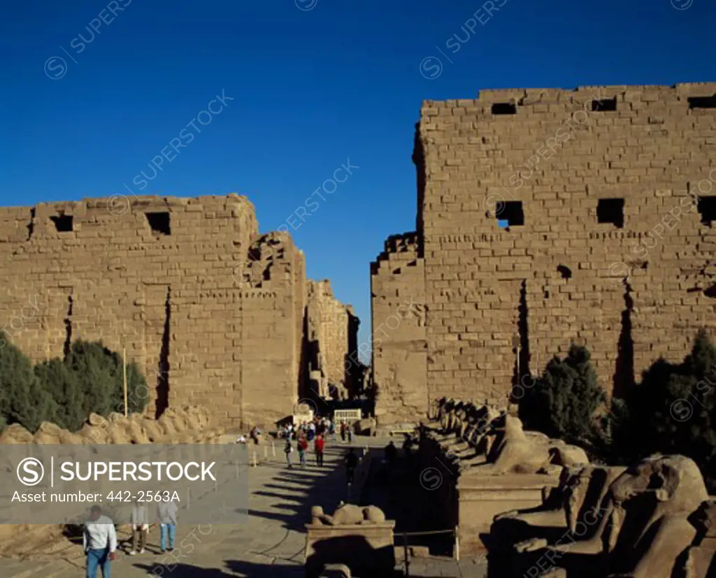 High angle view of tourists at a temple, Avenue of Sphinxes, Temples of Karnak, Luxor, Egypt