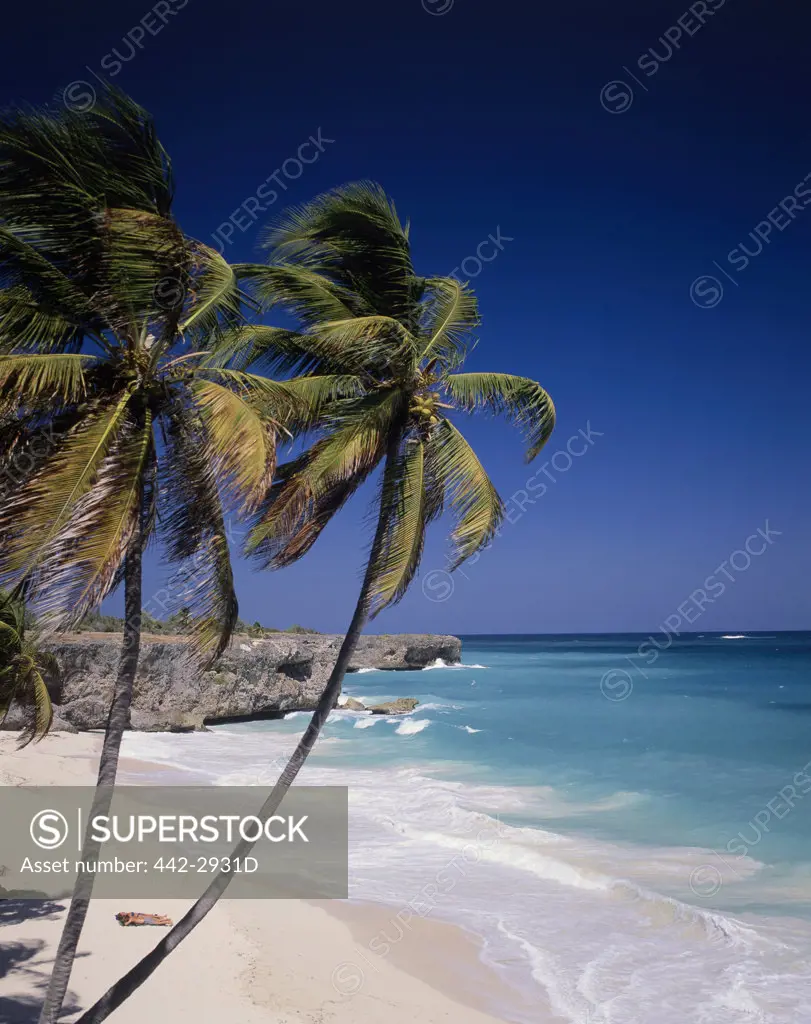 Tourists on the beach, Bottom Bay, Barbados