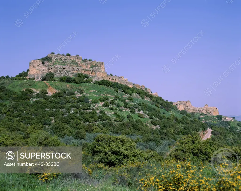 Low angle view of a fortress, Nimrod's Fortress, Banyas, Golan Heights, Israel