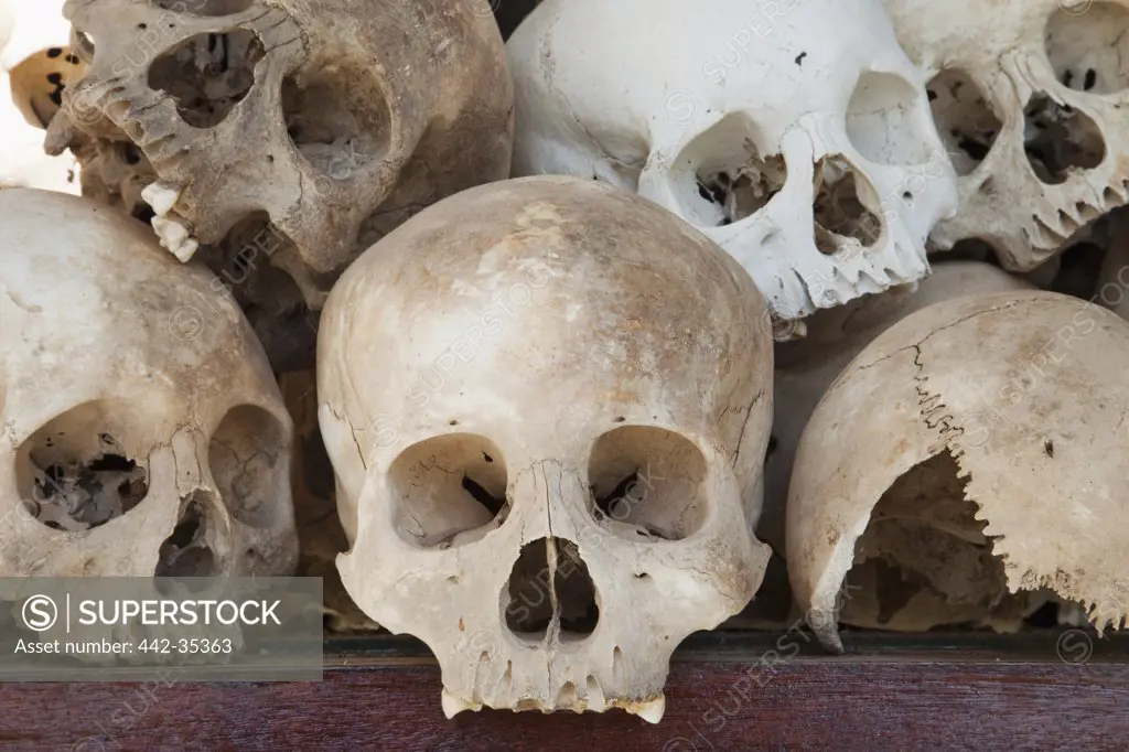 Displaying 8000 Skulls of the Victims Killed by the Khmer Rouge, Choeung Ek Genocide Museum, Phnom Penh, Cambodia