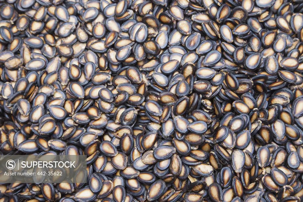 Close-up of watermelon seeds, Hong Kong, China