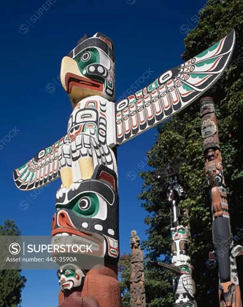 Low angle view of totem poles in a park, Stanley Park, Vancouver, British Columbia, Canada