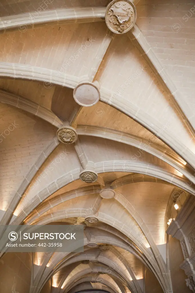 France, Loire Valley, Chenonceau Castle, The Hall Ceiling
