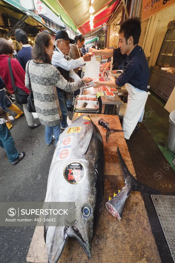 Customers buying tuna fish from a fish market, Tsukiji Fish Market, Tokyo, Japan