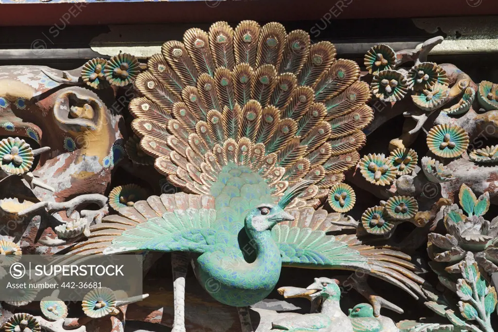 Wooden peacock carving in a shrine, Toshu-gu Shrine, Nikko, Honshu, Japan