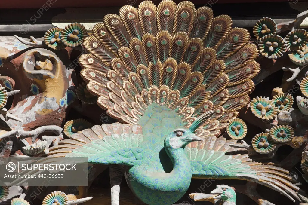 Wooden peacock carving in a shrine, Toshu-gu Shrine, Nikko, Honshu, Japan